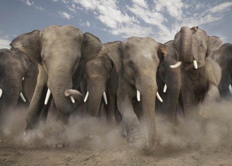 13581236347806726_mhDT854G_c