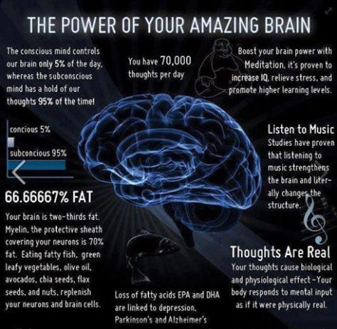Amazing Brain