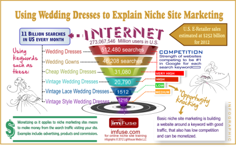 Niche-market-infographic