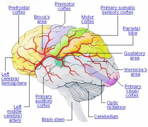 improve-your-brain-power-3