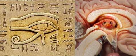 pineal-gland-and-eye-of-horus