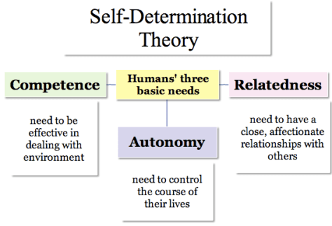 Self Determination Development theory