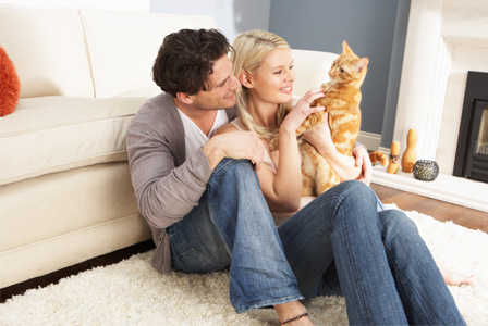 couple-playing-with-cat-horiz