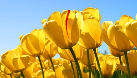 AAEAAQAAAAAAAAZnAAAAJDI0YzU4MWE5LThiZDUtNDk2NS1iM2E5LWIyN2M5OWRlOTIyZg