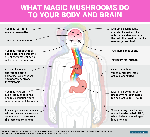 bi-graphics-what-magic-mushrooms-do-to-your-body-and-mind